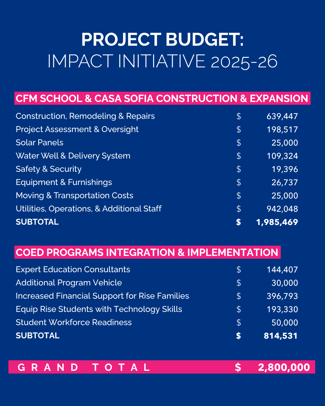Impact Initiative Project Budget